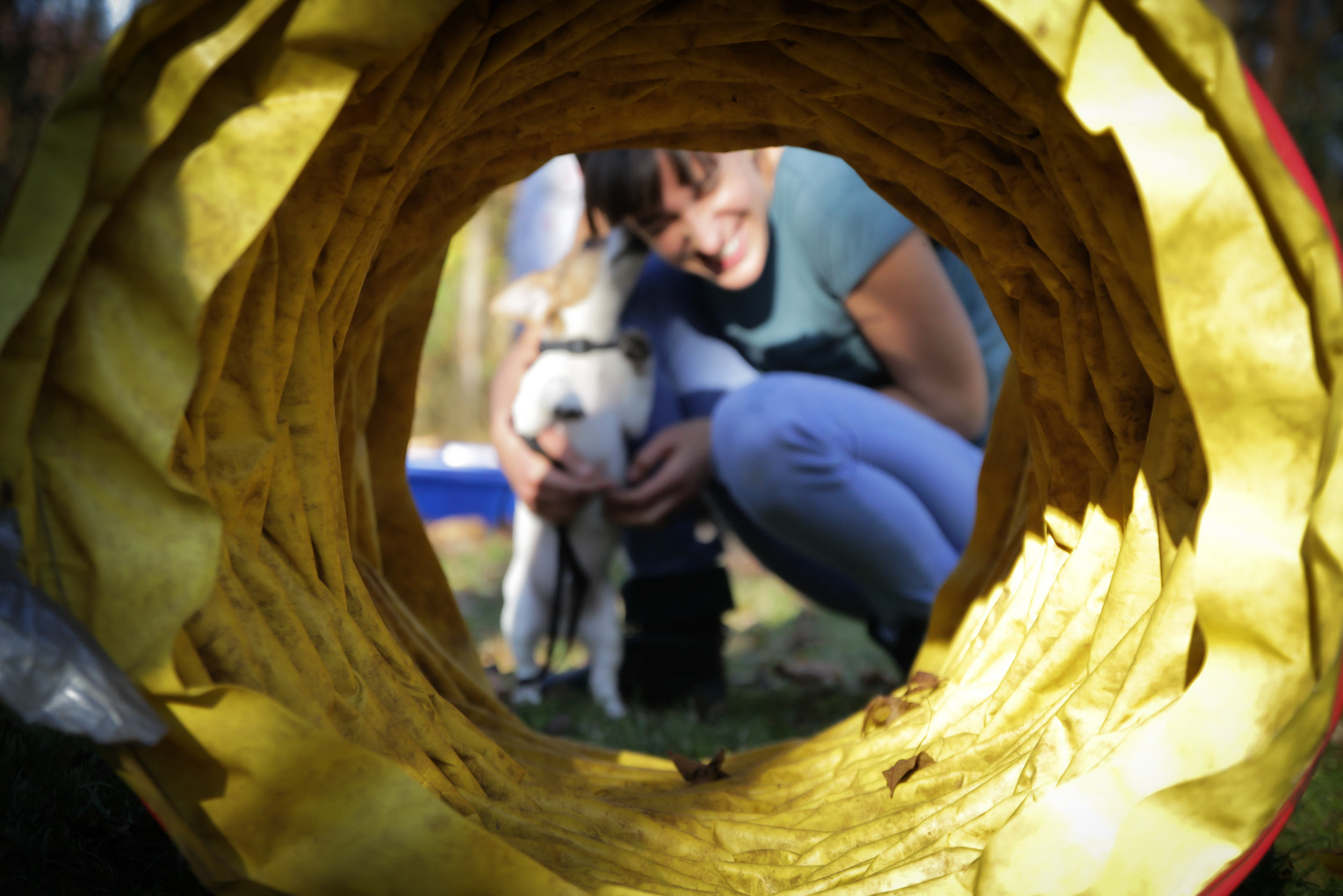 Person mit Hund hinter Hundetunnel