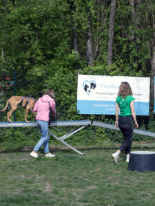Hundetrainerin Vanessa Miehling beim Mobility Training HUni München