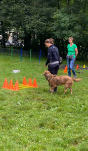 Hundetrainerin Regine Riedl beim Mobility Training HUni München