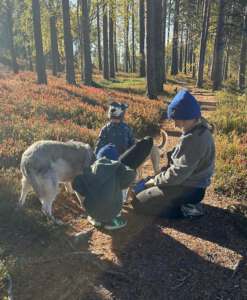 Hundetrainerin Sarah Franz mit Hunden und Kindern HUni Muenchen
