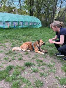 HUni-Trainerin Simone Baumann beim Dummytraining HUni München
