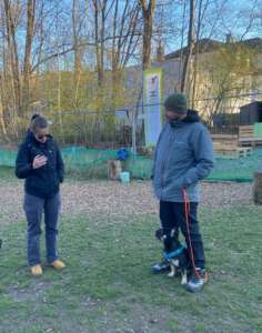 Hundetrainer Maikel van der Heijden beim Hundetraining am Hundeplatz HUni München