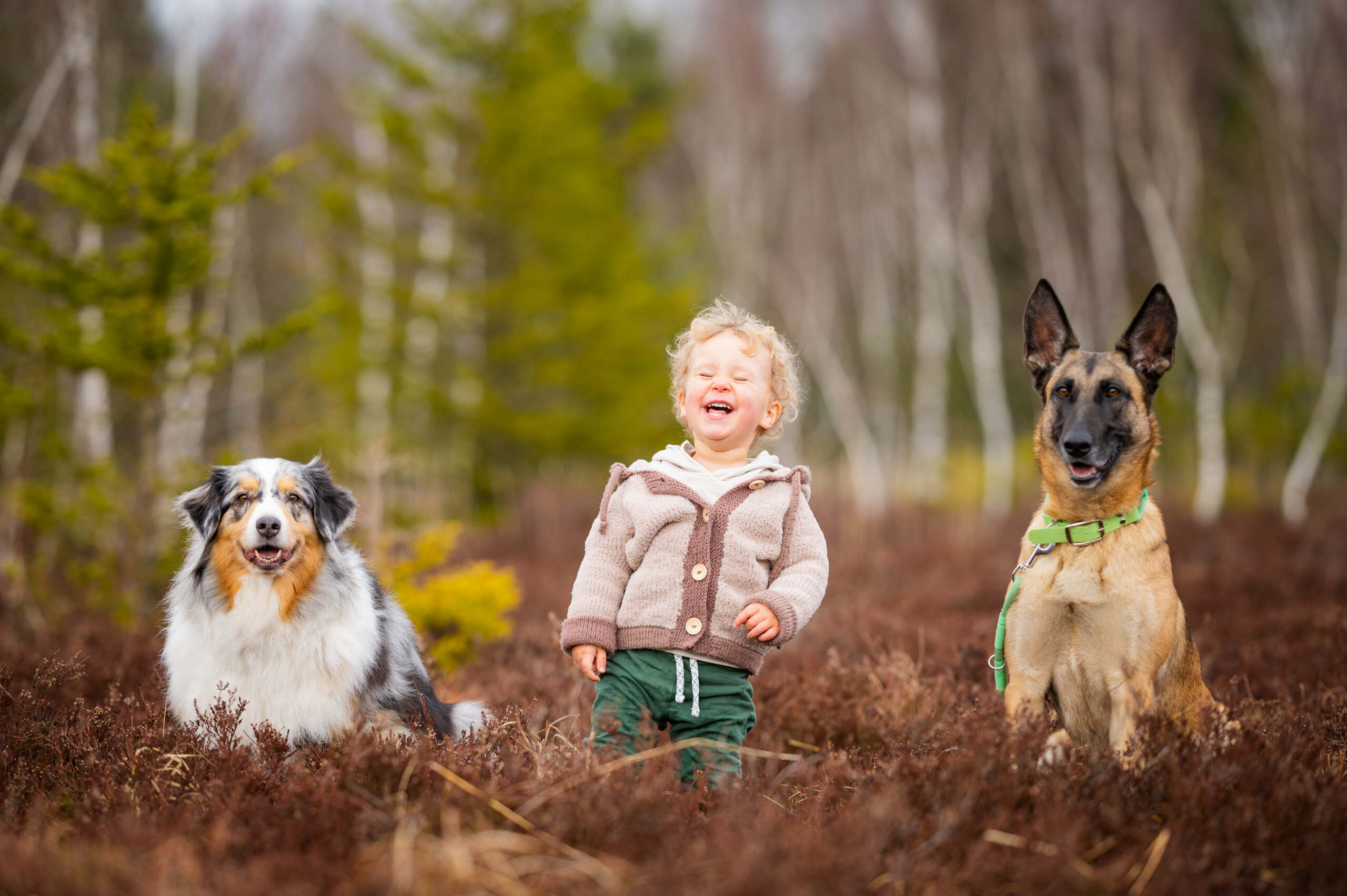Familienhund-HUni-Hundeschule-Muenchen Kind mit Familienhunden