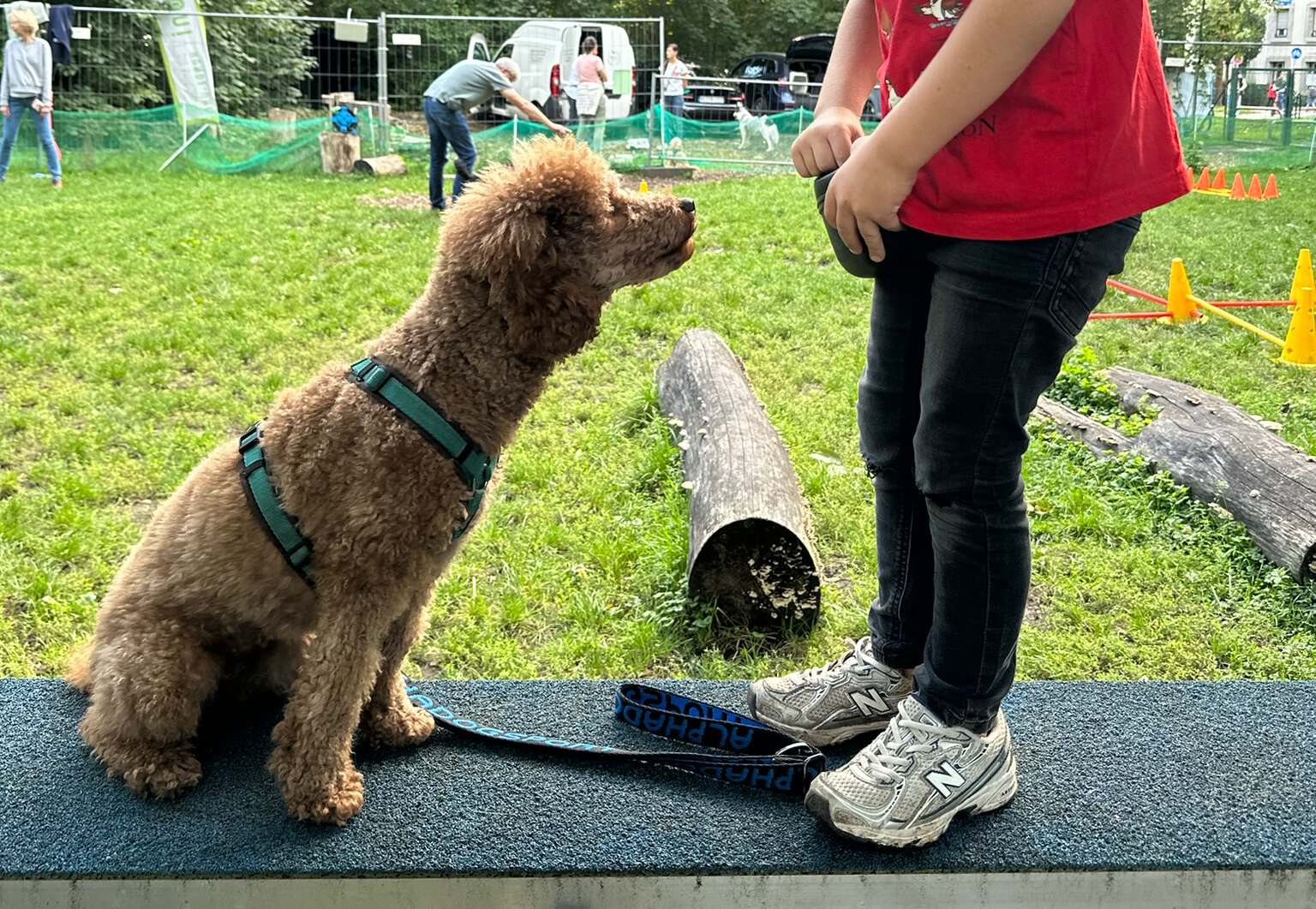 Kind und Familienhund Mobility-HUni-Hundeschule-Muenchen Kind mit Familiennhund beim Agility