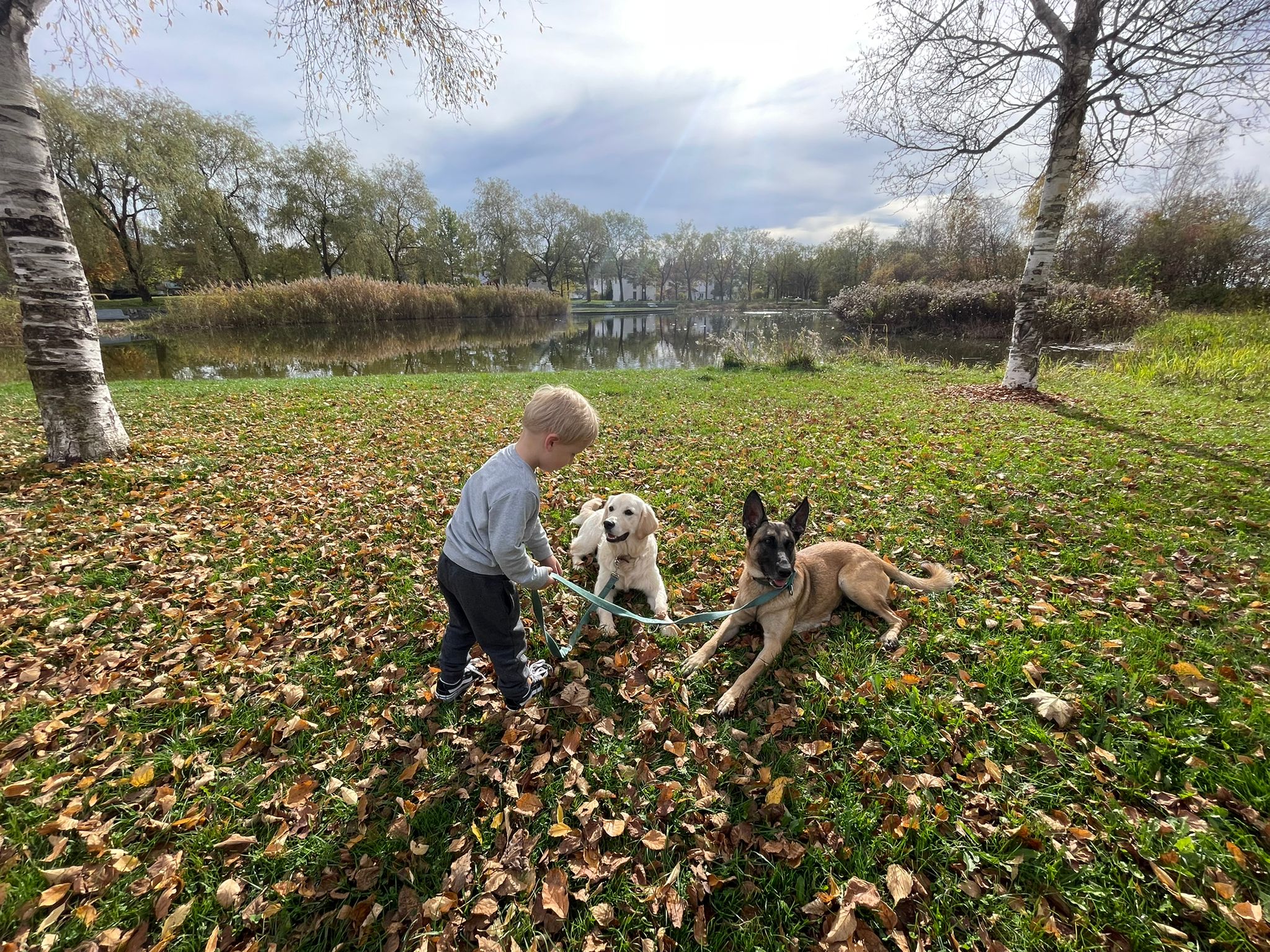 webinar-kind-familienhund-huni-muenchen Kind mit Stock und zwei Familienhunden