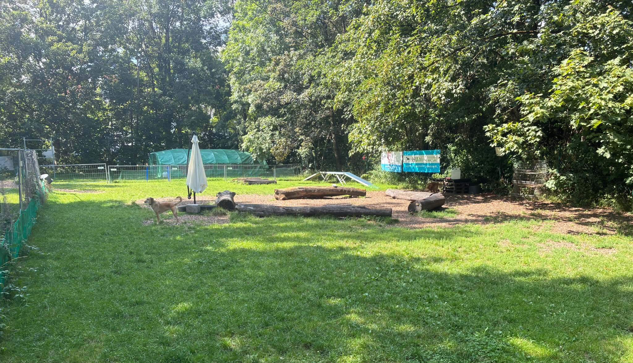 Eingezäunte Hundewiese mieten in München bei der HUni Hundeschule
